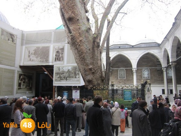 istanbul42500 (171).JPG